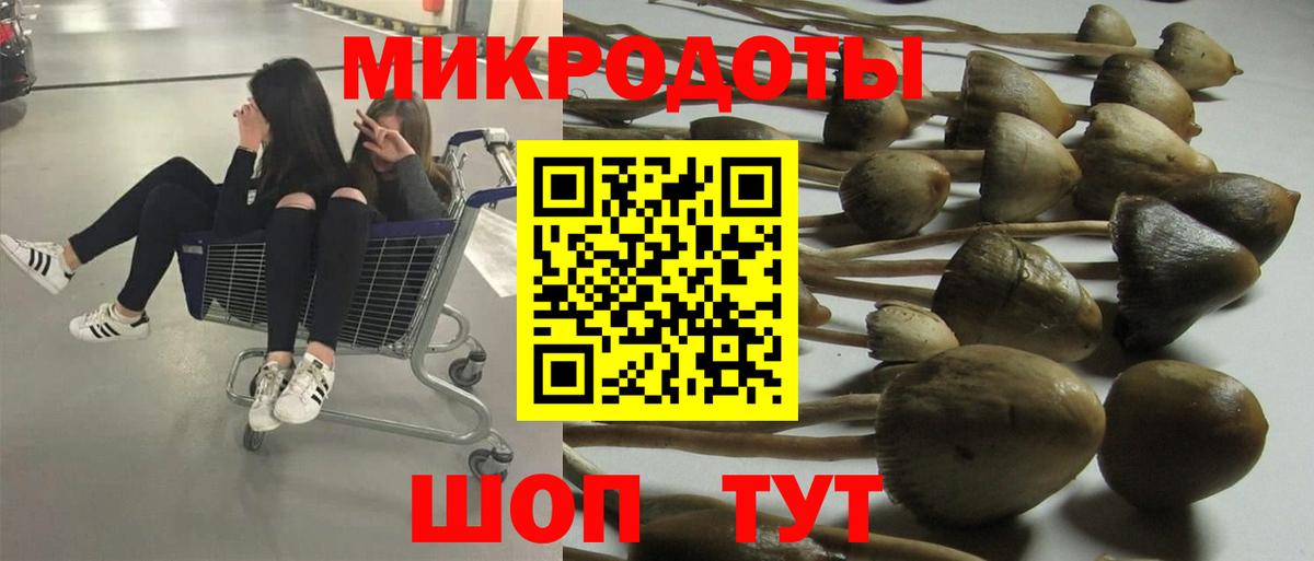 Тихорецк  Галлюциногенные грибы Magic Shrooms  где можно купить наркотик  Галлюциногенные грибы Psilocybine cubensis  Вход с VPN 